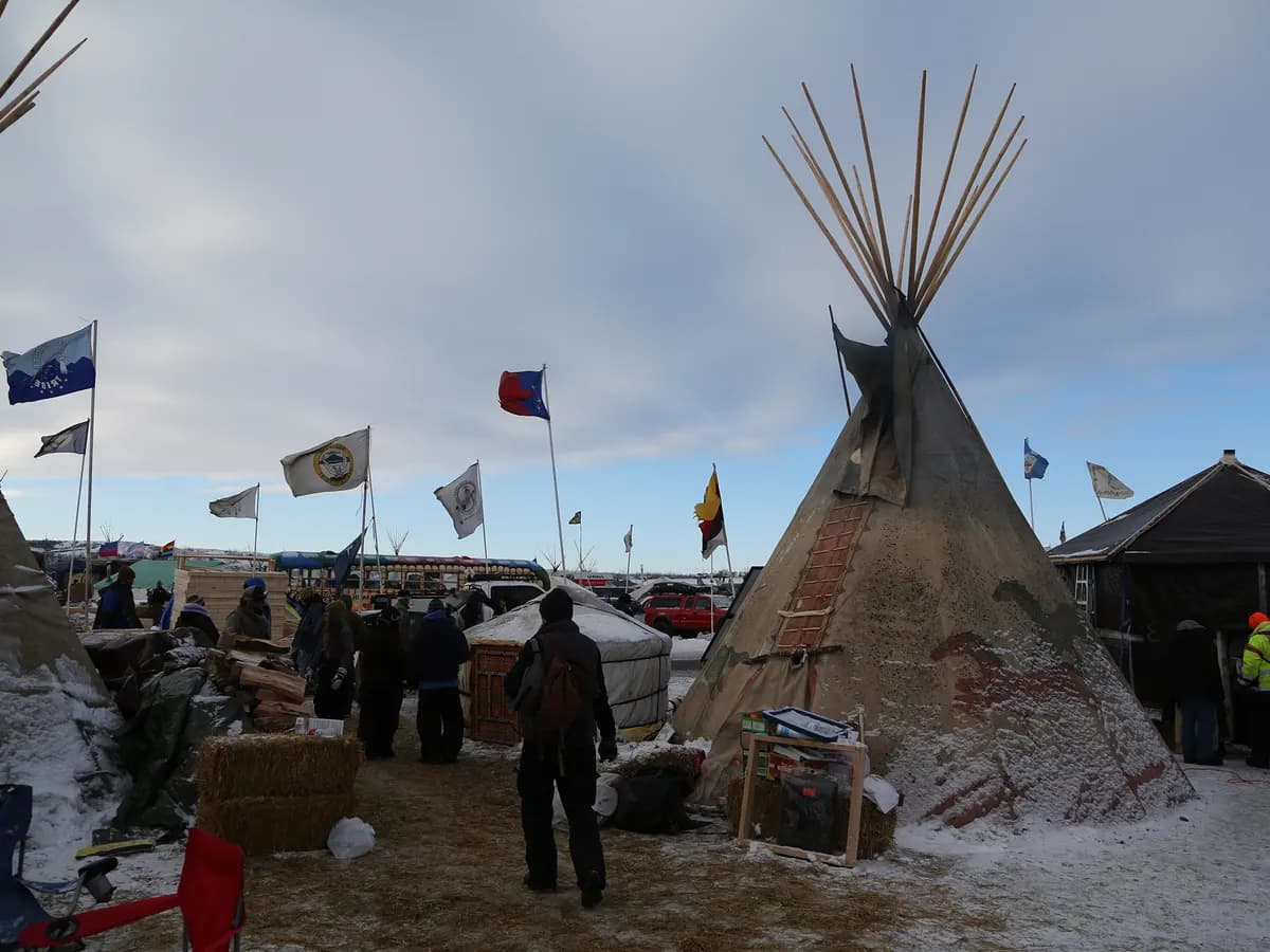 Indigenous Organizations in Canada and the USA